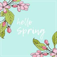 Hello Spring banner with blossoming sakura branches hand drawn, spring time, bright beautiful poster with blue background. vector