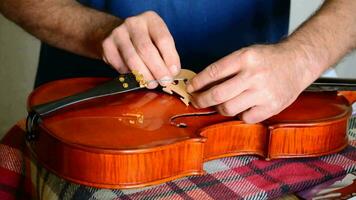 luthier placering de strängar till en fiol eller altfiol i de arbetsplats video