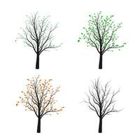 Four tree silhouette illustrated four season of nature. Vector illustration