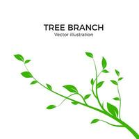 Branch silhouette isolated on white background. Green tree branch with a lot of leaves. Vector illustration