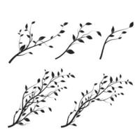 Set of tree branch. Branch silhouette isolated on white background with a lot of leaves. Vector illustration