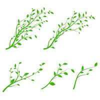 Set of green tree branch. Branch silhouette isolated on white background with a lot of leaves. Vector illustration