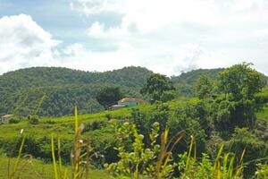 Houses on Hill with Green Trees and Mountain Range photo