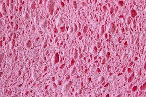 Macro Pink Sponge Texture photo