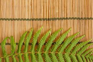 Green Fern Leaf on Bamboo Placemat photo