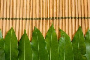 Green Leaves Aganst Bamboo Placemat photo