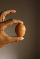 Hand Fingers Holding Egg photo