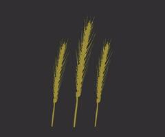 Wheat spike vector artwork design agriculture concepts