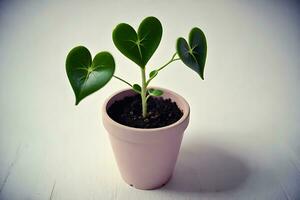 AI generated three heart leaves plant in a pink pot photo