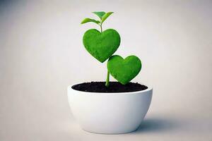 AI generated two heart fluffy green plant in a pot on white background photo
