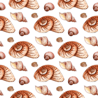 Watercolor illustration of a pattern of seamless seashells in beige tones. Endlessly repeating marine background. Scallops, clams and spirals. Isolated. Drawn by hand. png