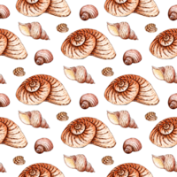 aguarela ilustração do uma padronizar do desatado conchas do mar dentro bege tons. infinitamente recorrente marinho fundo. vieiras, mexilhão e espirais. isolado. desenhado de mão. png