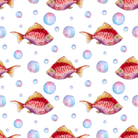watercolor illustration pattern of small red fish with and bubbles. Seamless repeating print of an aquarium fish. Sea life. Home pet. Isolated . Drawn by hand. png