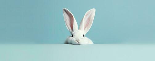 AI generated Easter Whimsy, White Rabbit's Tail Emerging from the Hole, Happy Easter Day. photo