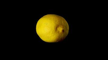 citroen draait geïsoleerd Aan zwart achtergrond langzaam beweging video 360