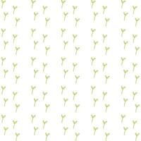 Botanical flower pattern. Seamless nature vector