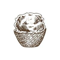 A hand-drawn sketch of a waffle basket with frozen yogurt or ice cream. Vintage illustration. Element for the design of labels, packaging and postcards. vector