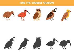 Find shadows of cute cartoon birds. Educational logical game for kids. vector