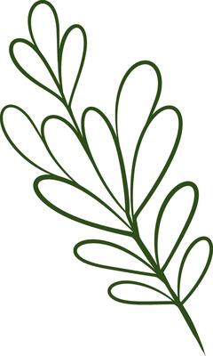 Plant Element Outline Vector Illustration