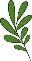 Plant Element iIlustration vector