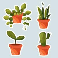 Stickers stickers with fashionable potted plants, cartoon style. Hobbies of urban cozy home gardening, indoor plants for the interior. Modern isolated vector flat illustration.