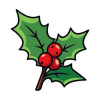 A Holly Vector isolated on a white background, Christmas Holly Clipart illustration