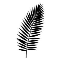 A Palm Tree Leaf Silhouette vector free