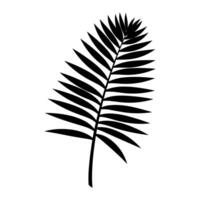 A Palm Tree Leaf Silhouette vector free