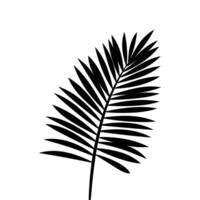 un palma árbol hoja silueta vector gratis