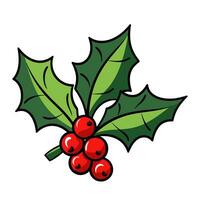 A Holly Vector isolated on a white background, Christmas Holly Clipart illustration
