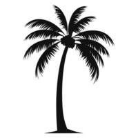 A Tropical Palm tree vector silhouette isolated on a white background free