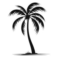 A Tropical Palm tree vector silhouette isolated on a white background free