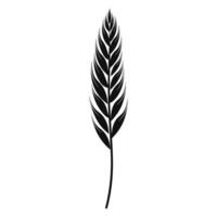 Wheat ears Vector isolated on a wHite background, A Wheat grain silhouette free