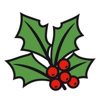 A Holly Vector isolated on a white background, Christmas Holly free illustration