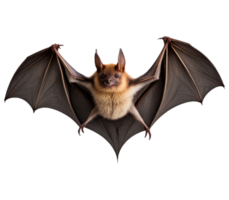 AI generated Flying Bat Isolated on Transparent Background png