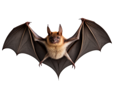 ai généré en volant chauve souris isolé sur transparent Contexte png