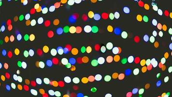 blurred colored lights on the Christmas light photo