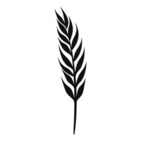 Wheat ears Vector isolated on a wHite background, A Wheat grain silhouette