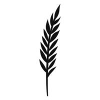 Wheat ears Vector isolated on a wHite background, A Wheat grain silhouette