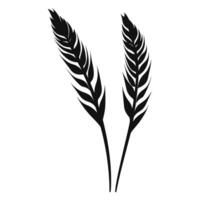 Wheat ears Vector isolated on a wHite background, A Wheat grain silhouette