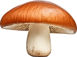 ai gegenereerd boletus paddestoel PNG