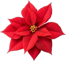 AI generated christmas poinsettia flower png