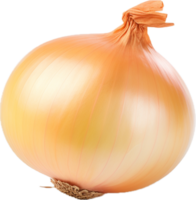 AI generated fresh onion bulb png