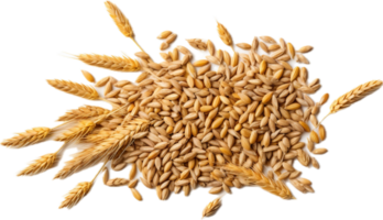 AI generated wheat grains png