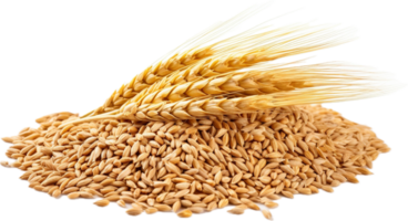ai généré blé céréales png