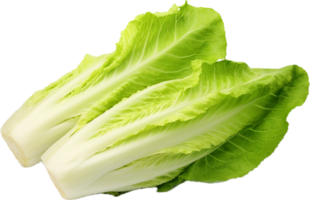 ai generiert Romaine Grüner Salat png