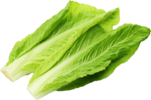 ai generiert Romaine Grüner Salat png