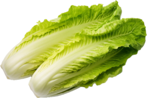 ai generiert Romaine Grüner Salat png