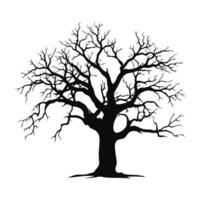 Scary Dead Tree black Silhouette isolated on a white background vector