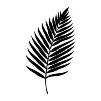 A Palm Tree Leaf Silhouette vector free